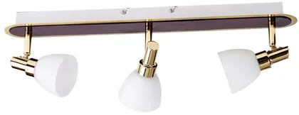 KOHTVALGUSTI PINXDISAIN DAGON 3 KULD WENGE 3XG9