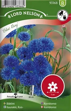 LILLESEEMNED RUKKILILL "BLUE BOY" 5G/PK