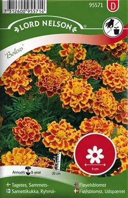 LILLESEEMNED MADAL PEIULILL "BOLERO" 5G/PK