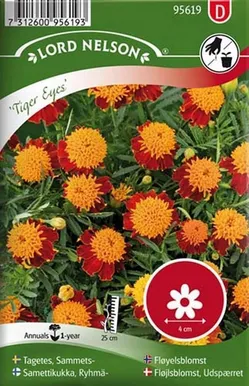 LILLESEEMNED MADAL PEIULILL "TIGER EYES" 5G/PK