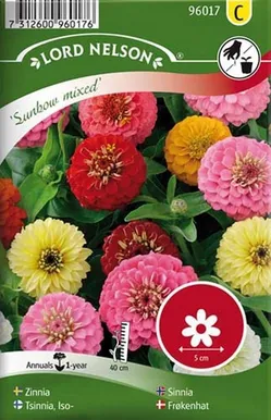 LILLESEEMNED PRUUDISÕLG "SUNBOW" 6G/PK
