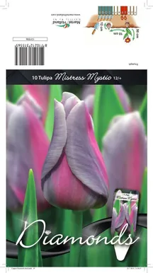 LILLESIBUL TULP TRT MISTRESS MYSTIC 10TK PAKIS