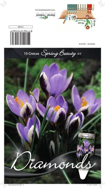 LILLESIBUL KROOKUS BOT. SPRING BEAUTY 15TK PAKIS