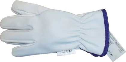 TÖÖKINDAD WORTEX KITSENAHK 211 NR10