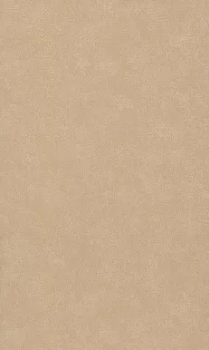 TAPEET P+S 02331-70 10,05X0,53M 4-EVER