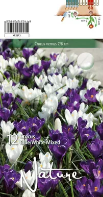 LILLESIBUL KROOKUS BIGFL. BLUE & WHITE MIX 12TK PAKIS