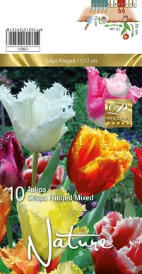 LILLESIBUL TULP CRISPA MIX 10TK PAKIS