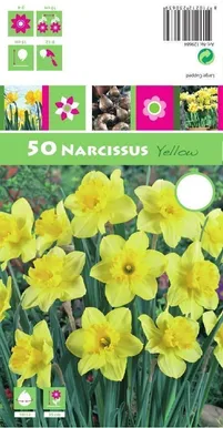 LILLESIBUL NARTSISS GK YELLOW 50TK PAKIS