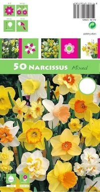 LILLESIBUL NARTSISS MIX 50TK PAKIS