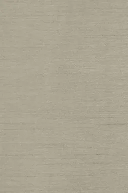KARDIN SPLENDID SILK ÖÖSIDEGA 140X245CM HÕBEDANE PIMENDAV