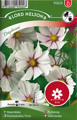 LILLESEEMNED HARILIK KOSMOS "DAYDREAM" 5G/PK