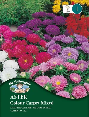 LILLESEEMNED MR FOTHERGILL’S AEDASTER COLOUR CARPET SEGU