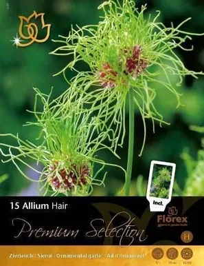 LILLESIBUL LAUK FLOREX HAIR 5/+ 15TK PAKIS