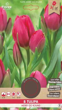 LILLESIBUL MITMEÕIELINE TULP MERRY GO ROUND 8TK PAKIS