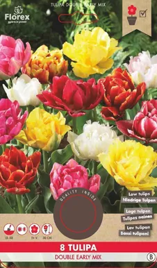 LILLESIBUL TOPELTÕIELINE MADAL TULP FLOREX DOUBLE EARLY SEGU 8TK PAKIS