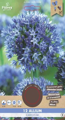 LILLESIBUL KÕRGEKASVULINE LAUK FLOREX CAERULEUM 12TK PAKIS