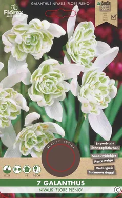 LILLESIBUL LUMIKELLUKE FLOREX FLORE PLENO 7TK PAKIS
