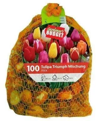 LILLESIBUL TRIUMFTULP MIX FLOREX 10/11 100TK PAKIS