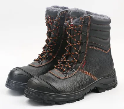 TALVETURVASAAPAD BS659 S3 SRC 43