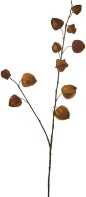 KUNSTTAIM MICA DECORATIONS HIINA LATERN 94CM PRUUN