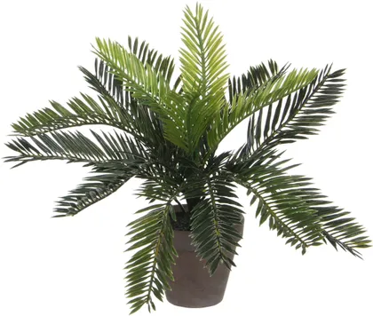 KUNSTLILL MICA DECORATIONS CYCAS PALM 33CM POTIS Ø11,5CM ROHELINE/HALL