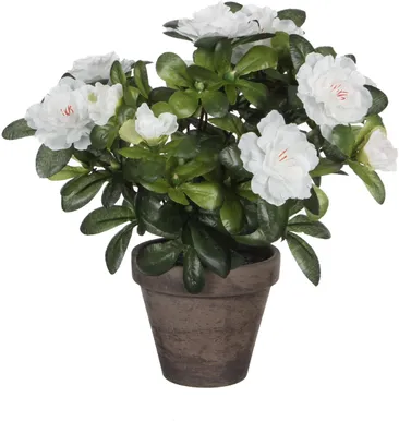 KUNSTLILL MICA DECORATIONS ASALEA 27CM POTIS Ø11,5CM VALGE/HALL