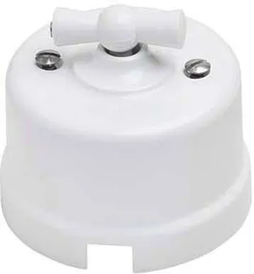 LÜLITI 1-NE BIRONI 10A 250V PLASTIK VALGE 