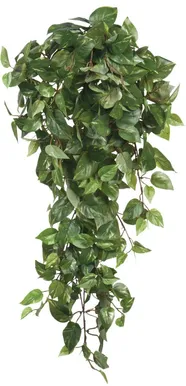 KUNSTTAIM ESSENTIAL SCINDAPSUS RIPPUV 80X30X15CM ROHELINE