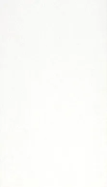 SEINAPANEEL KRONO ORIGINAL MDF 2600X280X7MM 9087 VALGE 5,1M2/PK