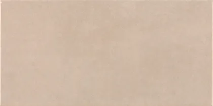 KERAAMILINE SEINAPLAAT PRISSMACER TECH ARENA 25X50CM