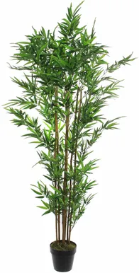 KUNSTLILL MICA DECORATIONS BAMBUS POTIS Ø60X180CM ROHELINE