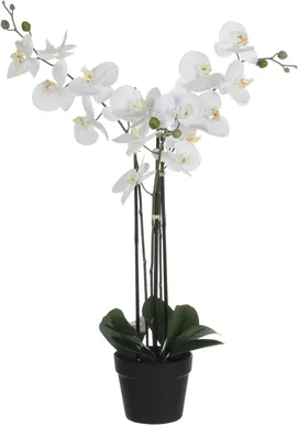 KUNSTLILL MICA DECORATIONS KUUKING POTIS 51X79X75CM VALGE