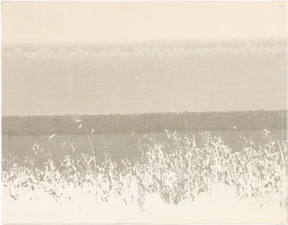 LAUAMATT FANNI K USVA 35X45CM PUUVILL BEEŽ