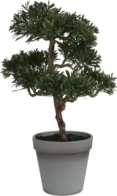 KUNSTTAIM MICA DECORATIONS BONSAI POTIS Ø25X32CM ROHELINE
