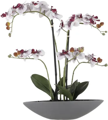 KUNSTLILL MICA DECORATIONS KUUKING POTIS 38X42X57CM HELELILLA