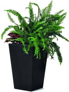 LILLEPOTIÜMBRIS S RATTAN 23,6L TUMEHALL