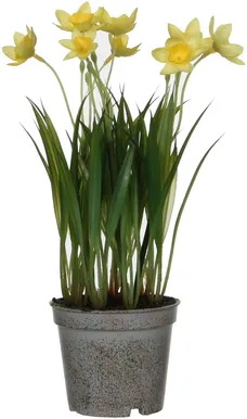 KUNSTLILL MICA DECORATIONS NARTSISS PLASTPOTIS 26X9CM
