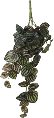 KUNSTLILL MICA DECORATIONS RIPUTATAV PEPEROOMIA 58X20X14CM