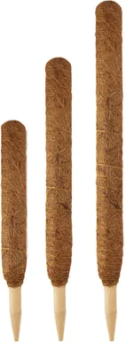 TAIMETUGI TARHA KOOKOSPOST PUIT OTSAGA 60X4,5CM