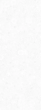 SEINAPANEEL VILO PVC 250X2650MM DAISY 2,65M² PAKIS