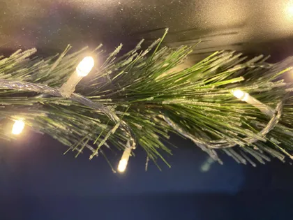 VÄLIS JÕULUVALGUSTUS ECO BRIGHT 100LED SOE VALGUS, ÜHENDATAV 9,9+1,5M