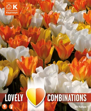LILLESIBULATEKOMPL. TULP VALGE, KOLLANE JA ORANZ 20TK