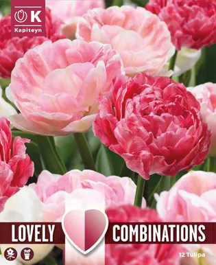 LILLESIBULATEKOMPL. TÄIDISÕIELINE TULP ROOSA MIX 12TK
