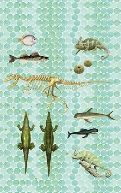 DIGITAPEET RASCH ONSZELF STORIES 200X280CM R532081