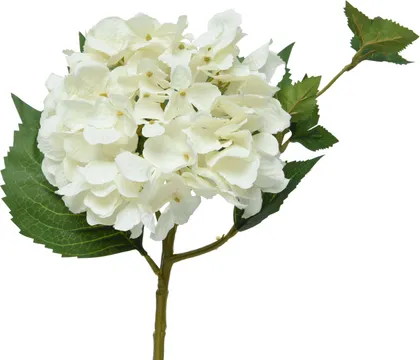 KUNSTLILL EVERLANDS HORTENSIA 46CM, VALGE