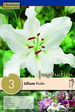 IDALIILIA KAPITEYN "RIALTO" 3TK PAKIS
