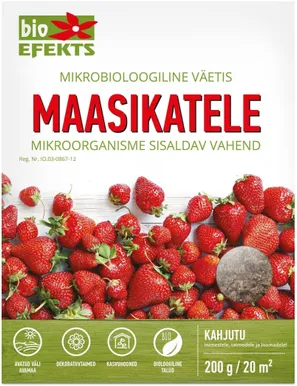 MIKROBIOLOOGILINE VÄETIS BIOEFEKTS MAASIKATELE 200G