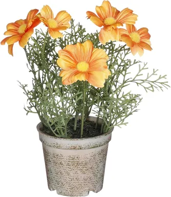 KUNSTLILL MICA KARIKAKAR POTIS 21,5X13CM, ORANŽ