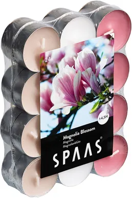 LÕHNASTATUD TEEKÜÜNAL SPAAS 4,5H MAGNOOLIA 24TK PAKIS