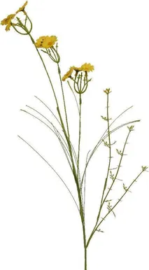KUNSTLILL EVERLANDS KARIKAKAR 60CM KOLLANE